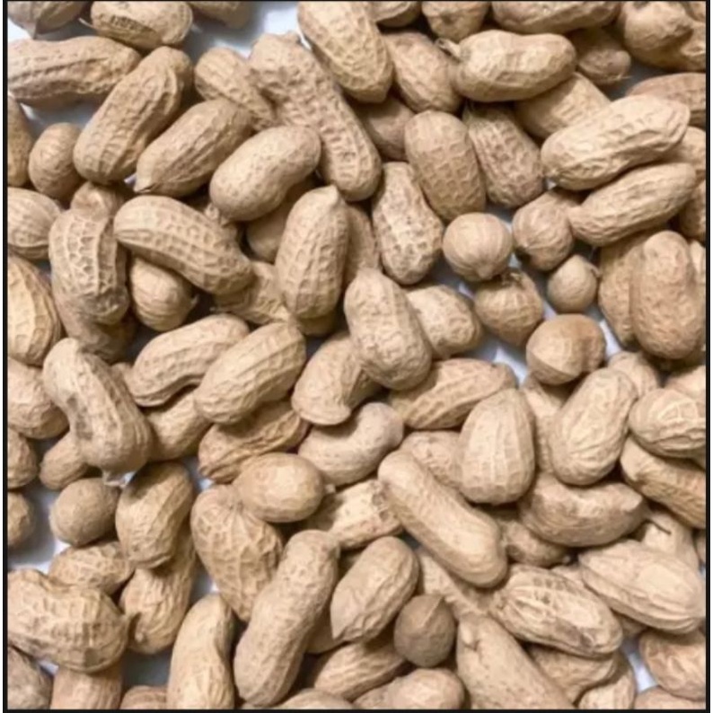 500g đậu phộng sấy khô nguyên vỏ Giá Chỉ 35k