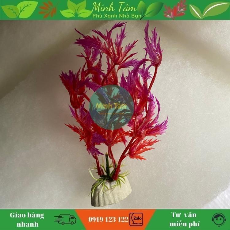 Cây nhựa trang trí bể cá - trang trí tiểu cảnh siêu đẹp giá rẻ
