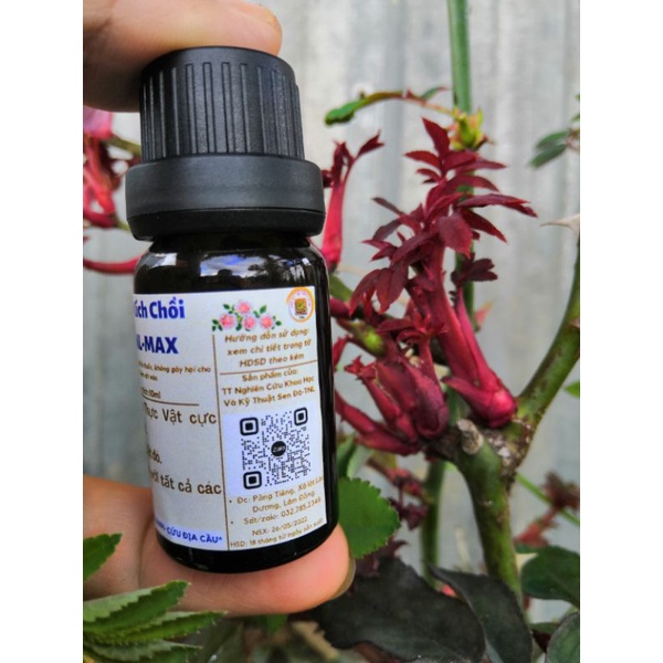 Siêu kích chồi T90 - NLmax 👍 kích chồi Mai vàng, bonsai, thân gỗ, hoa hồng, hoa lan....