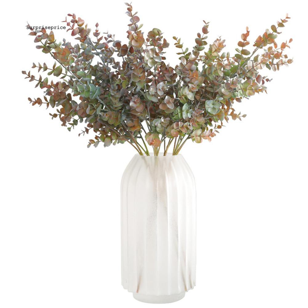 Nhánh lá bạch đàn giả đa năng chất lượng cao