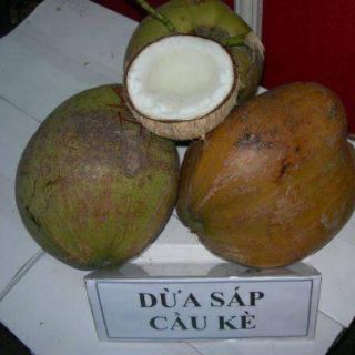 Dừa sáp đặc sản Trà Vinh