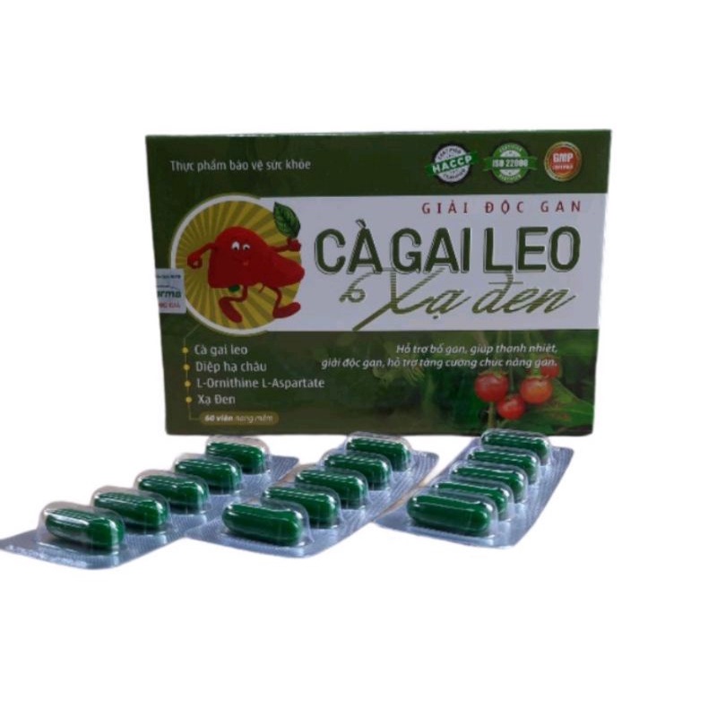 《Date 2025-hộp 60 viên》0Giải độc gan CÀ GAI LEO XẠ ĐEN , Bổ gan cà gai leo giúp mát gan,hạ men gan