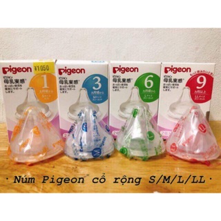 Sỉ núm pigeon
