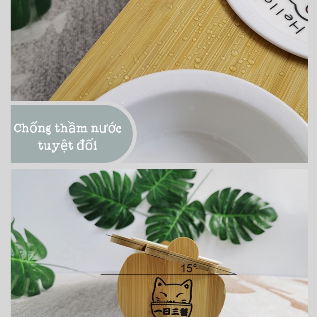 Bát ăn cho mèo bằng sứ cao cấp chống gù lưng - chén ăn đế gỗ chống lật cho thú cưng