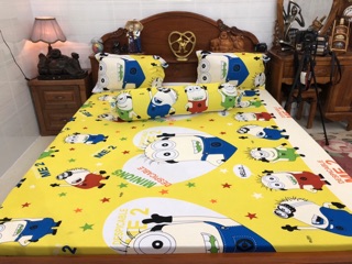 Drap thun hàn quốc