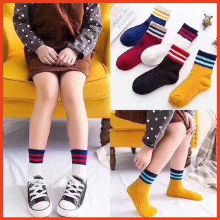 Tất bé set 5 đôi tất xọc các màu phong cách taphoapr