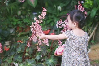 Váy đầm bé gái thô lụa 70-80-90