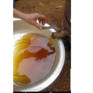 MẬT ONG HOA CÀ PHÊ