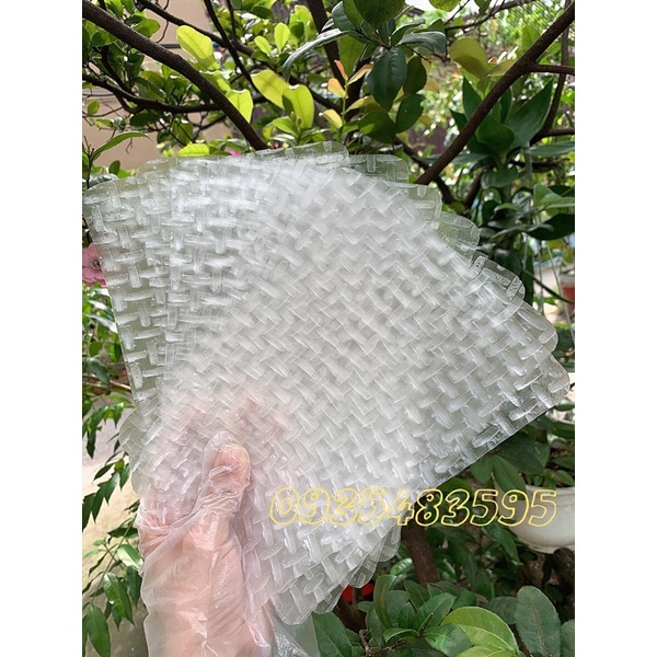 Bánh Tráng Tây Ninh Siêu Mỏng