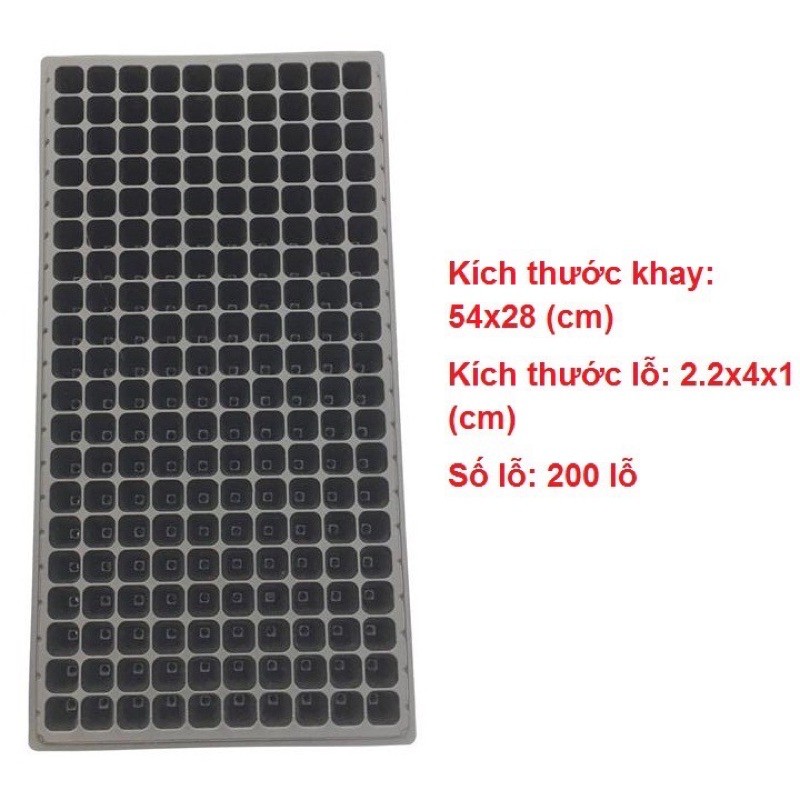 Khay ươm hạt 32 lỗ, 50 lỗ, 72 lỗ, 105 lỗ, 128 lỗ, 200 lỗ