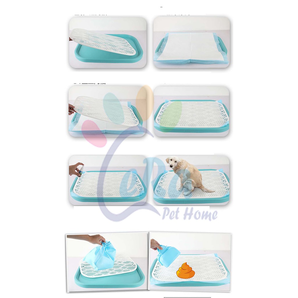 Khay Vệ Sinh Cho Chó Cao Cấp - Khay Vệ Sinh 004