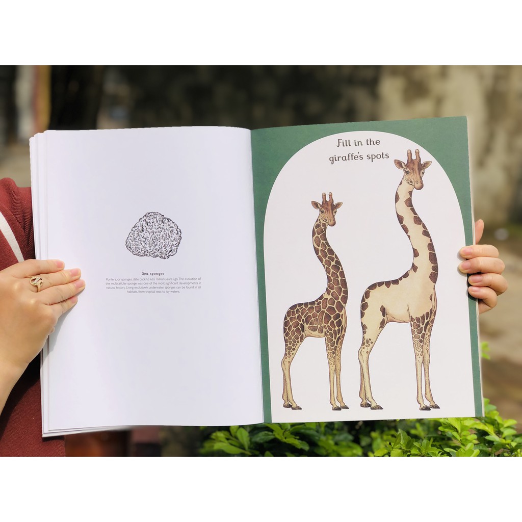 Animalium activity book - Sách hoạt động về động vật