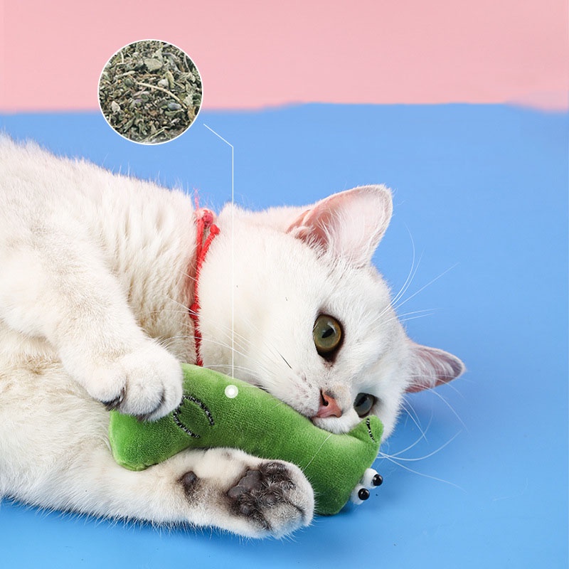 Đồ Chơi Gấu Bông Nhồi Catnip Cho Mèo GB8193 MIAOCAT