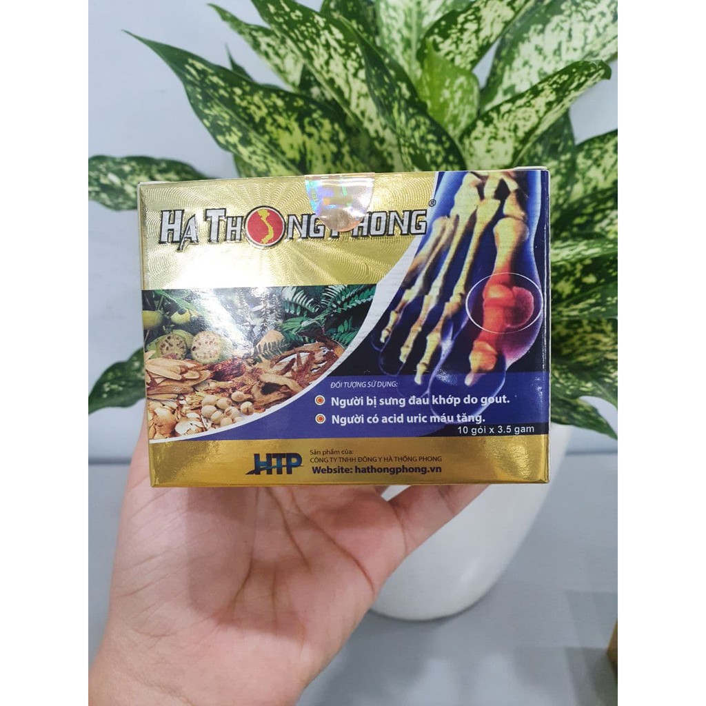 HÀ THỐNG PHONG - XUA TAN NỖI LO VỀ GÚT (GOUT)