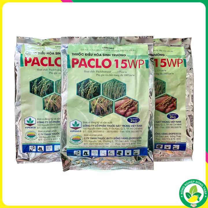 THUỐC ĐIỀU HÒA SINH TRƯỞNG PACLO 15WP