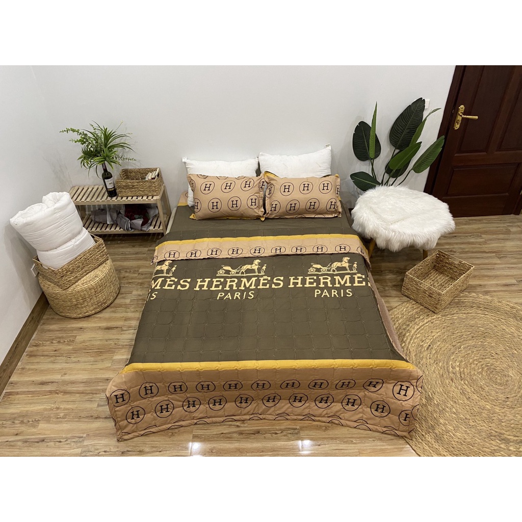 Sét 5 món chăn ga gối chăn hè trần bông cotton poly