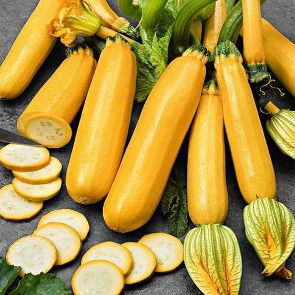 Hạt Giống Bí Ngồi Vàng  - Giòn Ngọt, Năng Suất Cao - MUA 3 TẶNG 1 CÙNG LOẠI KHUYẾN MẠI TRONG 1 NGÀY