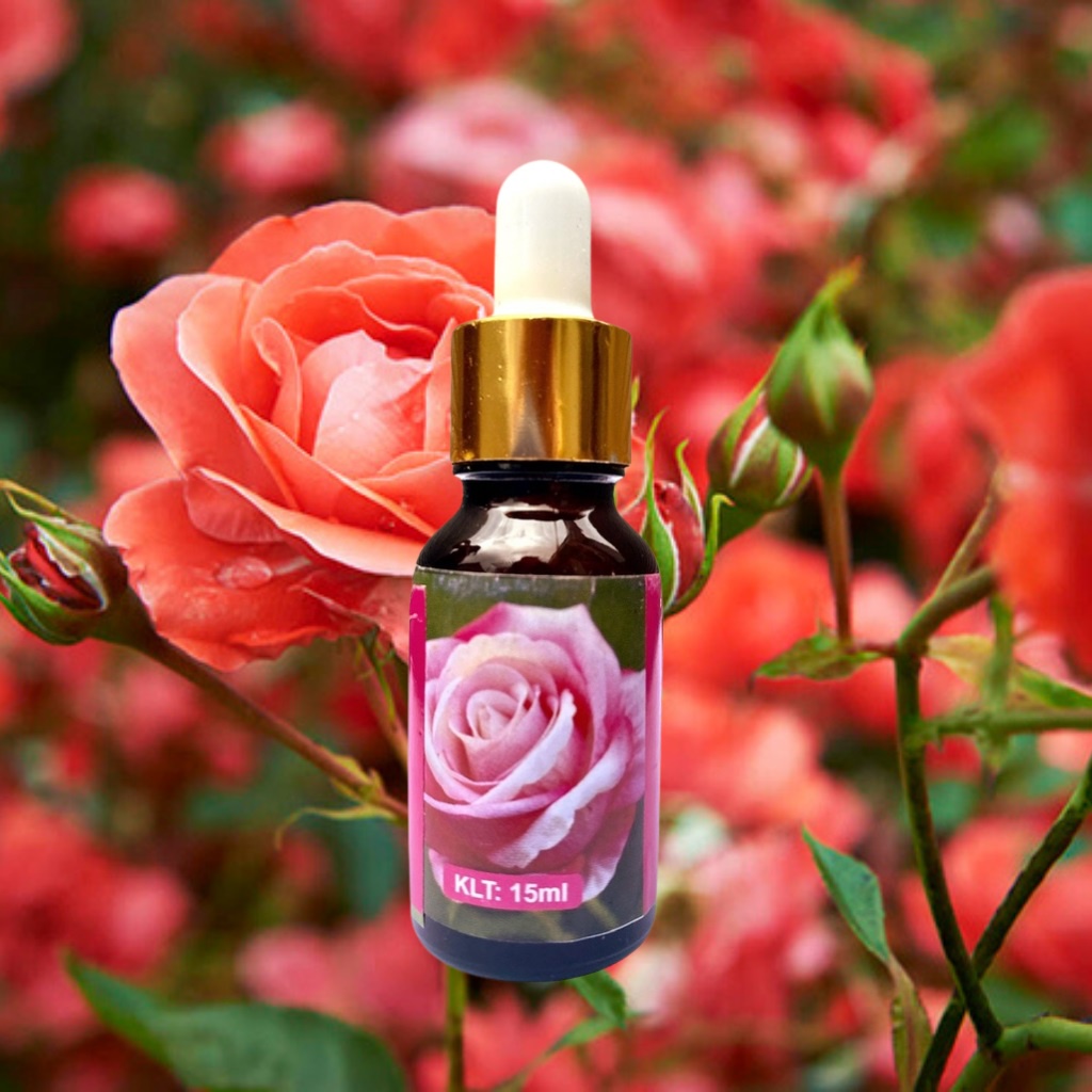 Tinh Dầu Hoa Hồng Thiên Nhiên Nguyên Chất Dung Tích 10ML Xông Phòng Toả Hương Thơm Sạch Không Khí Khử Mùi Đuổi Côn Trùng