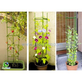 TỨ GIÁC - KHUNG TRỒNG CÂY Dùng để đỡ cây, giữ không cho cây đổ ngã, giúp cây hoa đứng vững không bị nghiêng gãy đổ cây