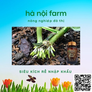 Bio Root MỸ kích rễ cực mạnh - 100ml