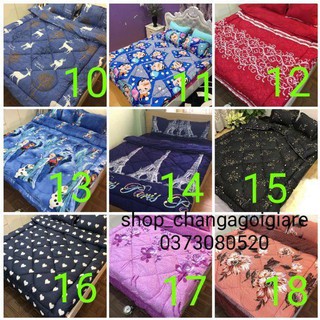 Bộ ga gối chăn phao 5 món poly cotton