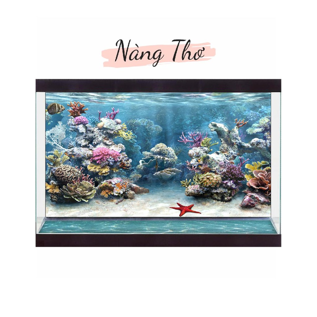 DECAL DÁN HỒ CÁ NHIỀU KÍCH THƯỚC_THIẾT KẾ NÀNG THƠ