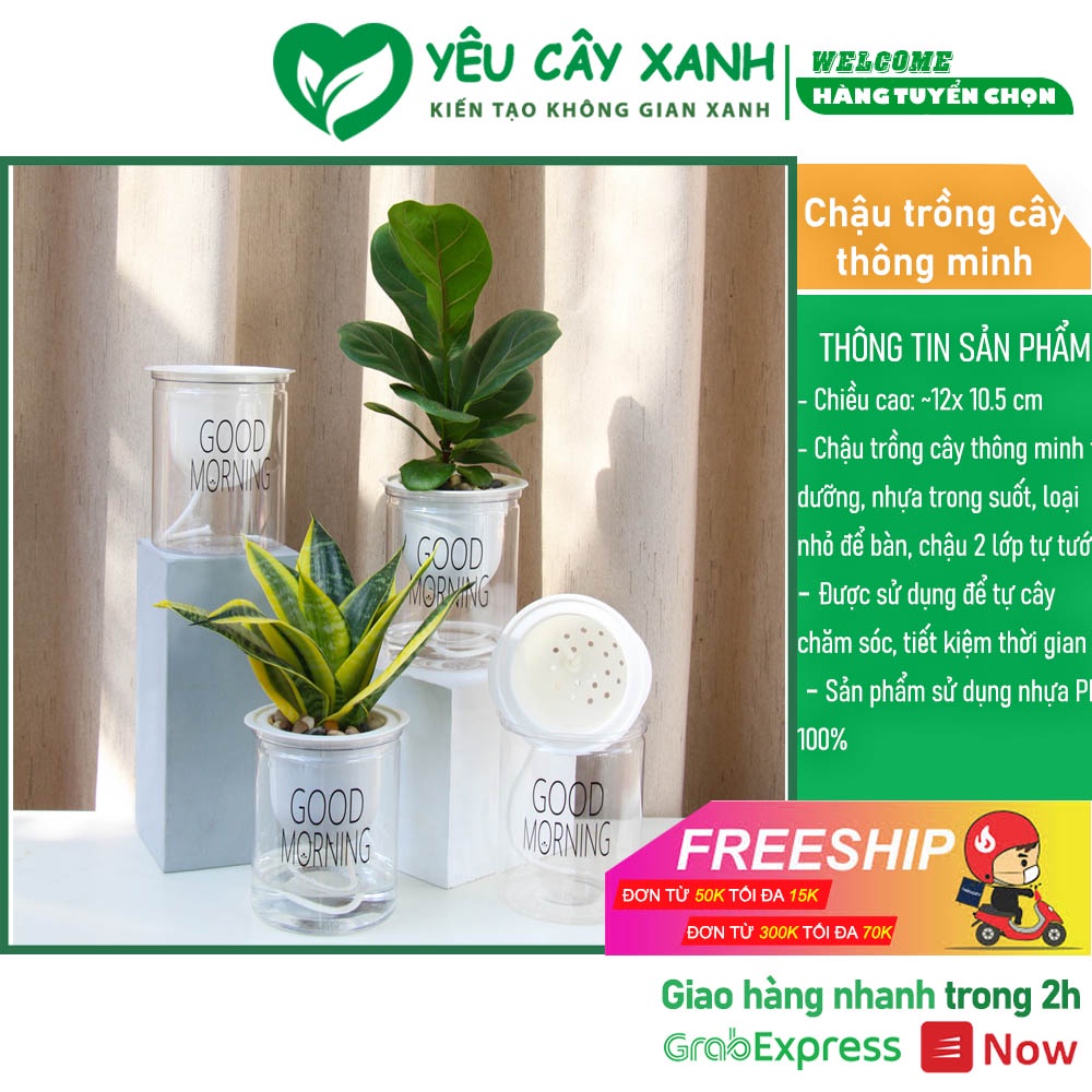 Chậu trồng cây thông minh tự dưỡng, nhựa trong suốt, loại nhỏ để bàn, chậu 2 lớp tự tưới