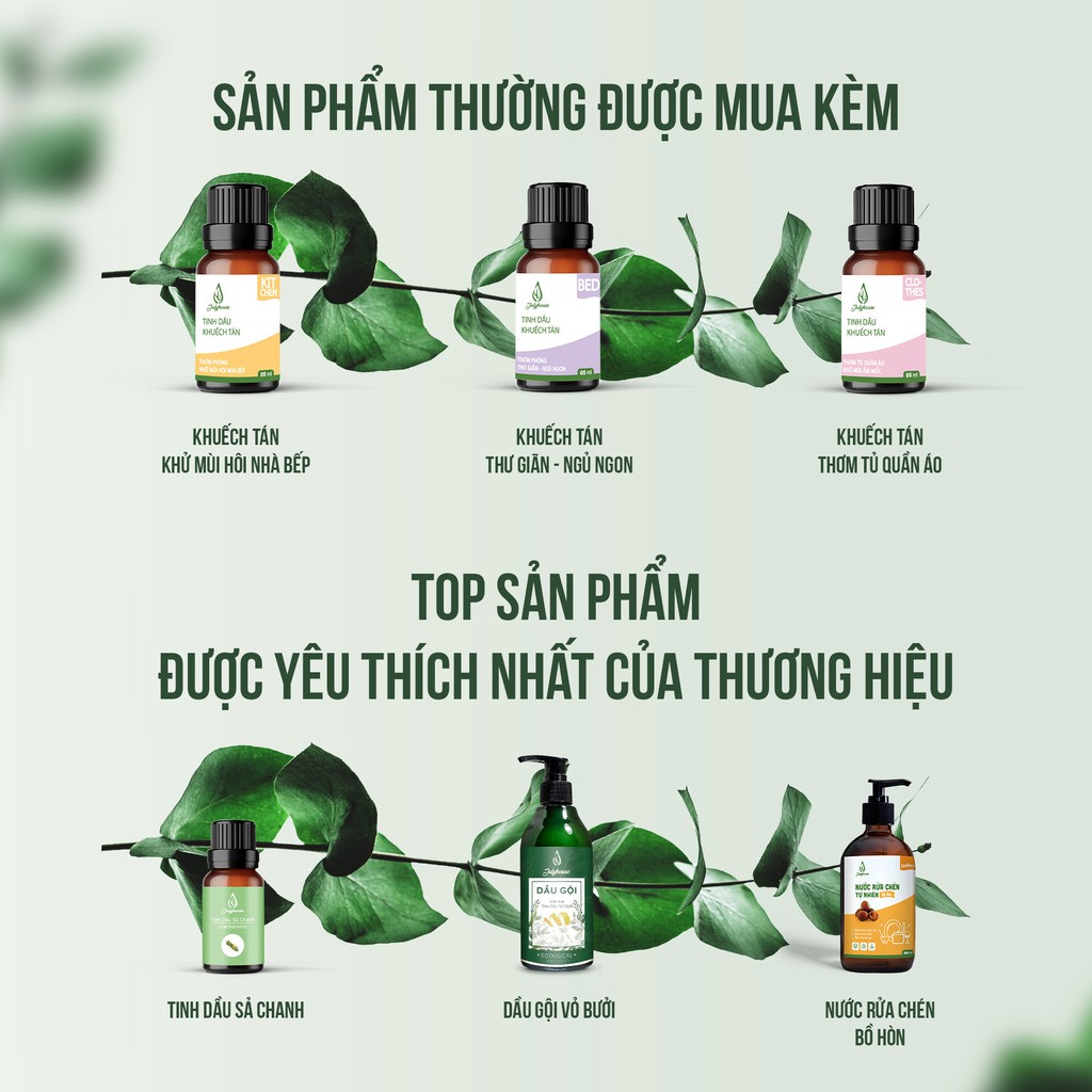 [MỚI] Bộ Khuếch tán hương thơm thư giãn giảm stress từ hỗn hợp tinh dầu Vỏ Bưởi, Bạc Hà, Cam Ngọt 5ml JULYHOUSE