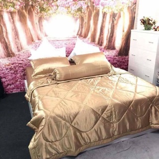 Bộ ga phi lụa thái Tuấn 5 món 1m6 (hình tự chụp 100%)