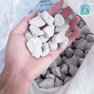 500g Đá Lông Vũ/Nham thạch trắng Turkey (1-4cm)