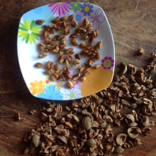 Hạt óc chó rừng 1kg
