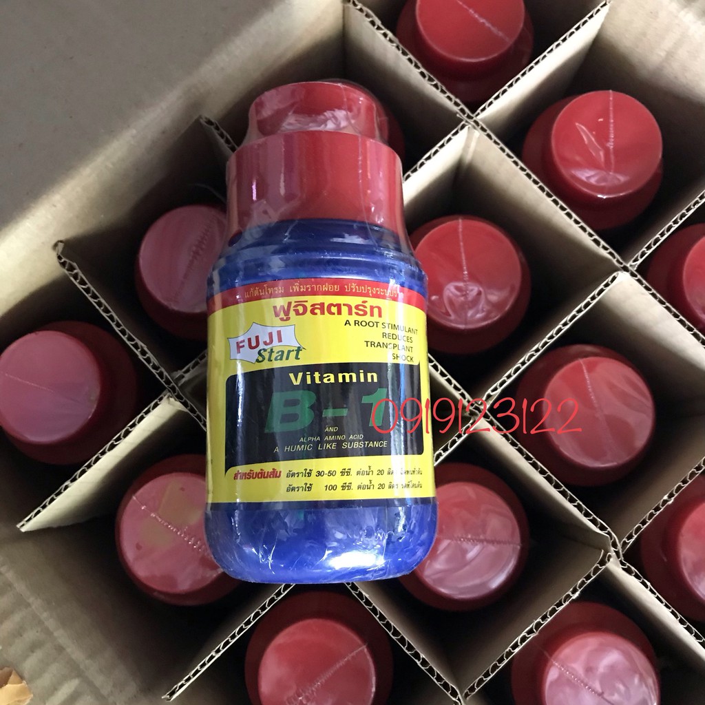 Vitamine B1 thái Fuji Start chai 500ml