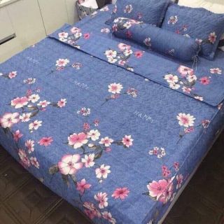 Bộ 1 ga 2 gối nằm 1 gối ôm