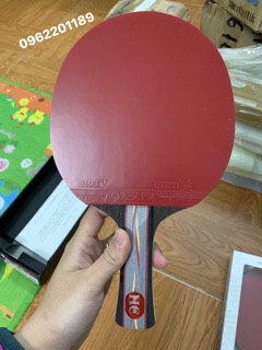 Mặt vợt bóng bàn Yasaka MarkV