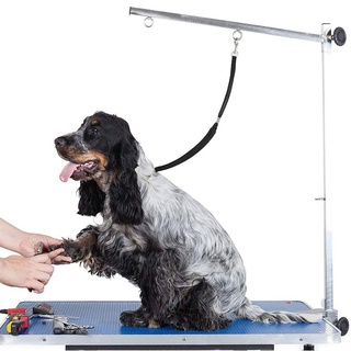 Dây Dắt Thú Cưng Đi Dạo An Toàn Tiện Lợi