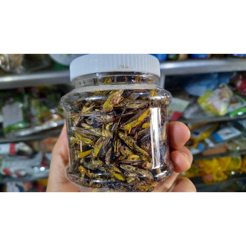 Cào cào sấy khô. 20gram