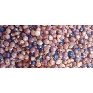 500 gram đậu săng