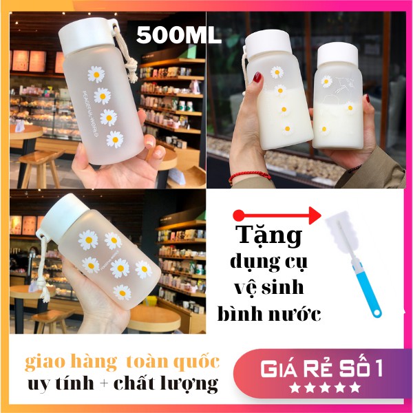 Bình nước THUỶ TINH HOA CÚC 500ml LOẠI DÀY bình nước cute