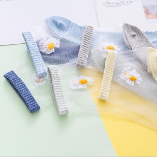 combo 10 đôi tất hoa cúc lưới siêu hót( 1 túi )