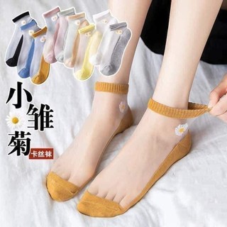 COMBO 10 ĐÔI TẤT LƯỚI HOA CÚC DAISY hottrend
