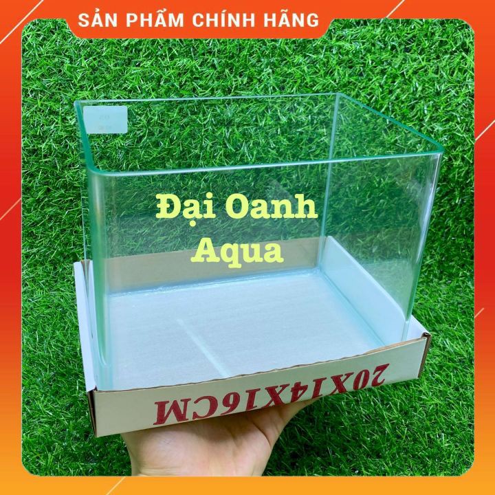 Bộ Bể Cá Kính Đúc 20cm Mini Để Bàn - Bể Cá Cảnh Mini