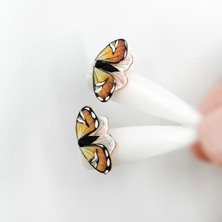 Hoa Bột Fantasy  Mẫu Bướm (1 Con)