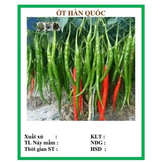 Hạt giống ớt Hàn Quốc