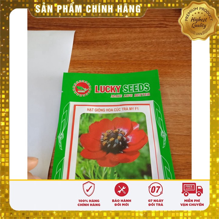 Hạt giống hoa cúc trà my F1 LUCKY SEEDS