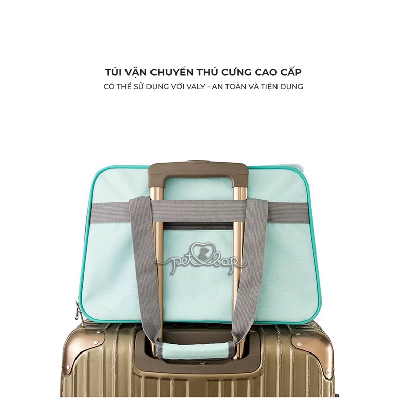 Túi vận chuyển chó mèo hàng thiết kế cao cấp vải dệt mật độ cao siêu bền nhiều màu sắc