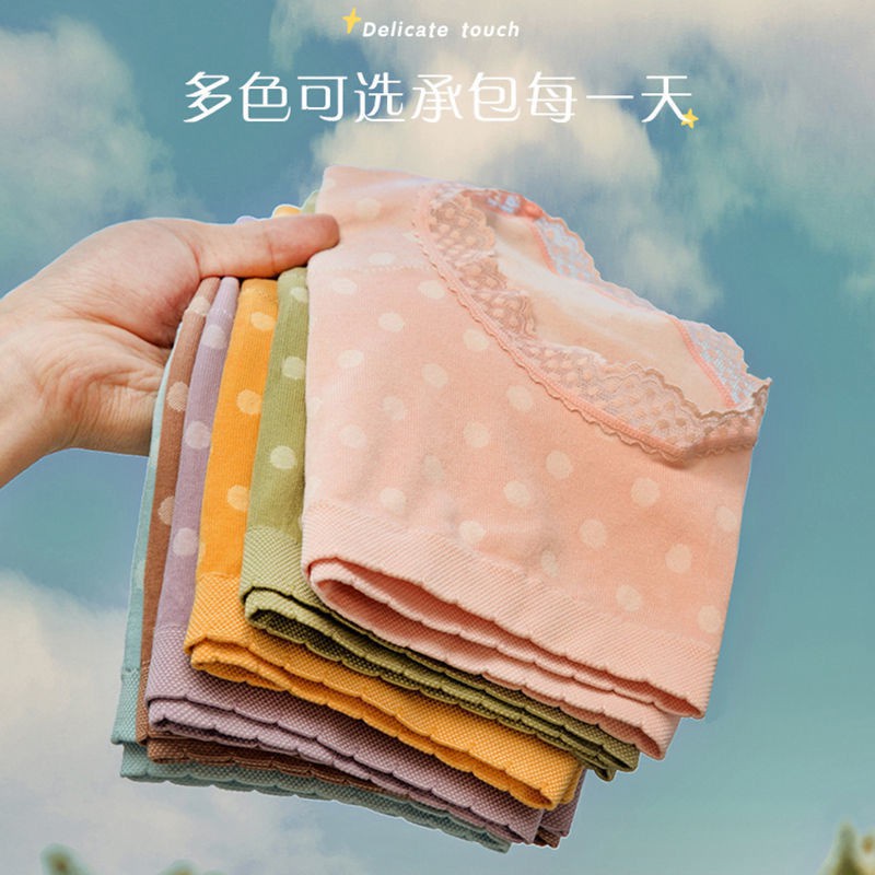 Quần Lót Cotton Dệt Kim Chấm Bi Viền Ren Công Chúa siêu xinh, chất cotton mặc siêu thích