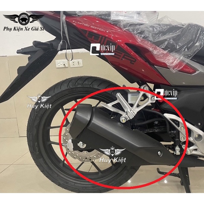 Ốp Che Pô Và Chụp Đích Pô Xe Winner X Mẫu Theo Xe MS4996