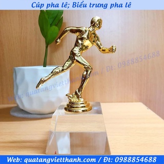 Cúp pha lê kim loại