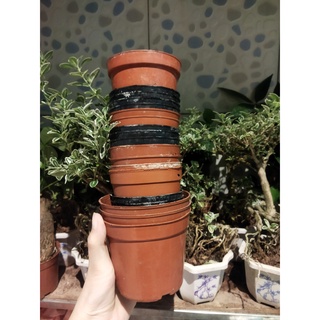 Combo 30 chậu nhựa ươm cây đã qua sử dụng