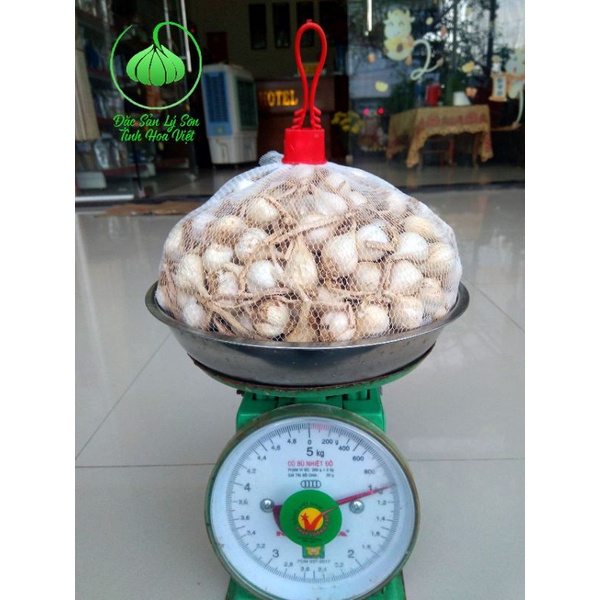 Tỏi Lý Sơn Loại Nhỏ(1KG) - Đảo Đảm Uy Tín - Chất Lượng - Chính Gốc - Được Vận Chuyển Từ Đảo Lý Sơn